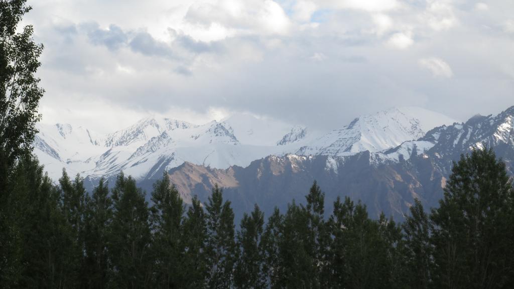 Streamlet Homestay Leh Esterno foto